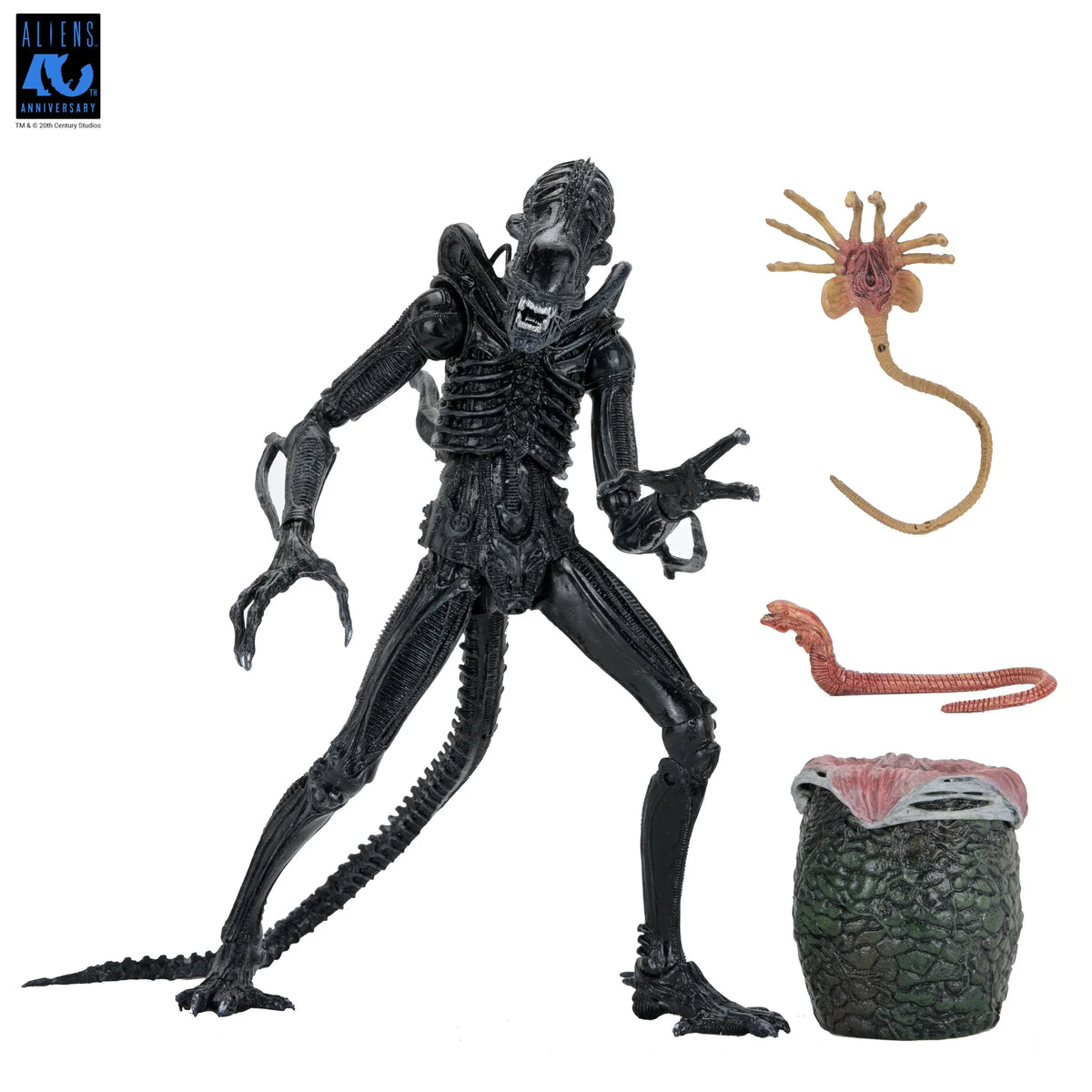 Aliens - 40th Anniversary Ultimate Xenomorph Warrior 7" Scale Action F ...