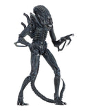 Aliens Ultimate Alien Warrior (1986) Set of 2 Blue & Brown Alien 7″ Scale Action Figures - NECA