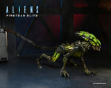 Aliens: Fireteam Elite Series 2 Burster Alien 7″ Scale Action Figures - NECA
