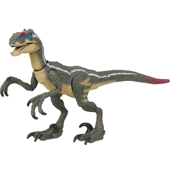 Jurassic Park Hammond Collection Velociraptor (Male) Action Figure - Mattel