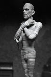 Universal Monsters - Toony Terrors Silver Screen Edition (Series 10) (Set of 4) 6” Scale Action Figures - NECA