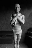 Universal Monsters - Toony Terrors Silver Screen Edition (Series 10) (Set of 4) 6” Scale Action Figures - NECA