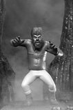 Universal Monsters - Toony Terrors Silver Screen Edition (Series 10) (Set of 4) 6” Scale Action Figures - NECA
