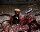The Thing Deluxe Ultimate Dog Creature 7” Scale Action Figure - NECA