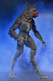 The Howling - Ultimate Werewolf 7” Scale Action Figure - NECA