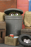 Sesame Street - Ultimate Oscar the Grouch 7” Scale Action Figure - NECA