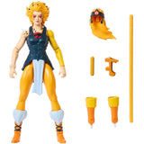 Masters of the Universe x Thundercats Wave 1 - Mattel