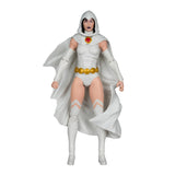 DC Multiverse PLATINUM Raven (DC Classic) McFarlane Collector Edition 7" Figure - McFarlane Toys *IMPORT STOCK*