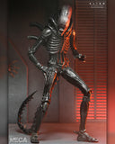 Alien: Romulus - Ultimate Xenomorph XX121 7" Inch Scale Action Figure - NECA