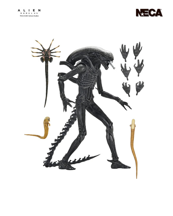 Alien: Romulus - Ultimate Xenomorph XX121 7