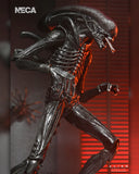 Alien: Romulus - Ultimate Xenomorph XX121 7" Inch Scale Action Figure - NECA