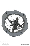 Alien: Romulus - Deluxe Suspended Lab Xenomorph XX121 7" Inch Scale Action Figure - NECA