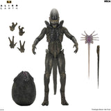 Alien: Earth - Ultimate Xenomorph 7" Scale Action Figure - NECA