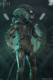 Alien: Earth - Ultimate Xenomorph 7" Scale Action Figure - NECA