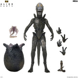 Alien: Earth - Ultimate Wendy's Xenomorph 7" Scale Action Figure - NECA