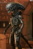 Alien: Earth - Ultimate Wendy's Xenomorph 7" Scale Action Figure - NECA