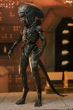 Alien: Earth - Ultimate Wendy's Xenomorph 7" Scale Action Figure - NECA