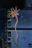 Aliens - 40th Anniversary Ultimate Xenomorph Warrior 7" Scale Action Figure - NECA