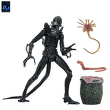 Aliens - 40th Anniversary Ultimate Xenomorph Warrior 7" Scale Action Figure - NECA