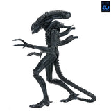 Aliens - 40th Anniversary Ultimate Xenomorph Warrior 7" Scale Action Figure - NECA
