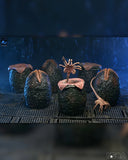 Aliens - 40th Anniversary Carton of Alien Eggs 6-Pack Accessory Pack - NECA