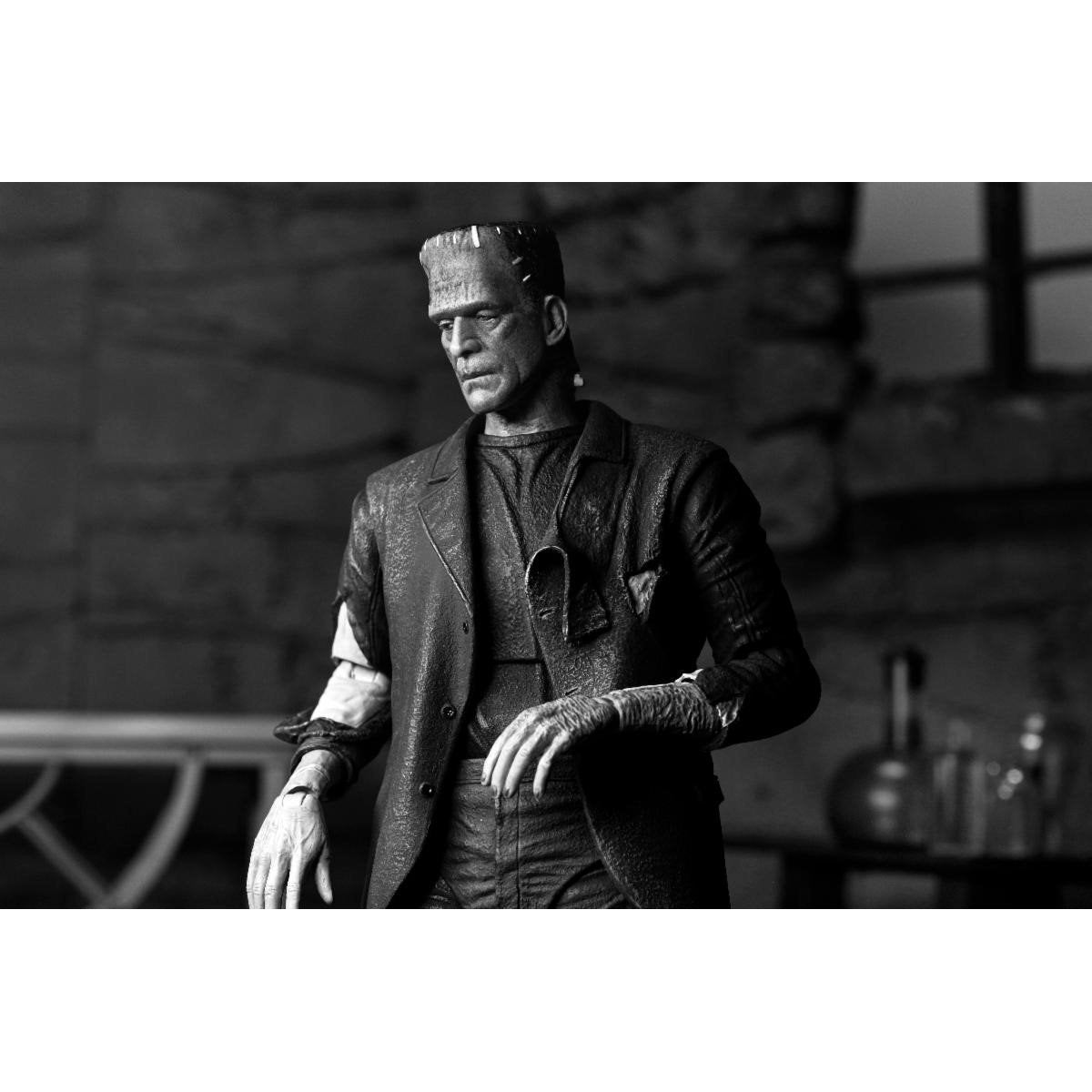 NECA Frankenstein – Statuetta Action Figure Da 18 Cm, Ispirata A La Sposa Di Frankenstein, Collezionismo