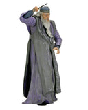 Harry Potter - Legacy Collection 7" Scale Action Figures (Harry Potter, Albus Dumbledore, Severus Snape & Voldemort) - NECA