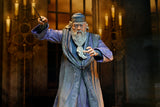Harry Potter - Legacy Collection 7" Scale Action Figures (Harry Potter, Albus Dumbledore, Severus Snape & Voldemort) - NECA