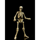 EPIC H.A.C.K.S. Classic Bone Blank Skeleton 1:12 Scale Action Figure - Boss Fight Studio