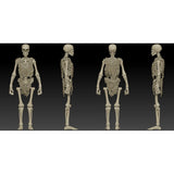 EPIC H.A.C.K.S. Classic Bone Blank Skeleton 1:12 Scale Action Figure - Boss Fight Studio