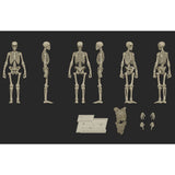 EPIC H.A.C.K.S. Classic Bone Blank Skeleton 1:12 Scale Action Figure - Boss Fight Studio