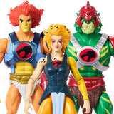 Masters of the Universe x Thundercats Wave 1 - Mattel