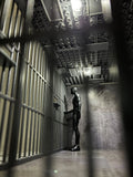 Fext System 1:12 Cell Diorama - Fext Hobby