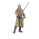 Indiana Jones Adventure Series Grail Knight 6" Inch Scale Action Figure - Hasbro