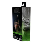 Star Wars The Black Series Wicket W. Warrick (ROTJ) 6" Inch Action Figure - Hasbro