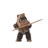 Star Wars The Black Series Wicket W. Warrick (ROTJ) 6" Inch Action Figure - Hasbro