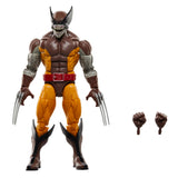 Wolverine 50th Anniversary Marvel Legends Wolverine and Lilandra Neramani 6" Inch Action Figure 2 Pack- Hasbro