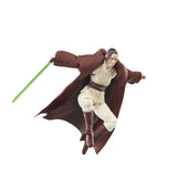 Star Wars The Black Series Jedi Master Indara 6" Inch Action Figure - Hasbro