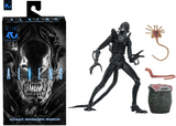 Aliens - 40th Anniversary Ultimate Xenomorph Warrior 7" Scale Action Figure - NECA
