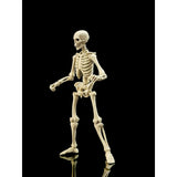 EPIC H.A.C.K.S. Classic Bone Blank Skeleton 1:12 Scale Action Figure - Boss Fight Studio