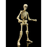 EPIC H.A.C.K.S. Classic Bone Blank Skeleton 1:12 Scale Action Figure - Boss Fight Studio
