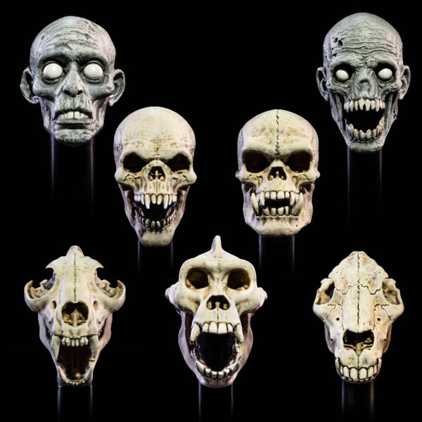 undead-heads-head_grande.jpg?v
