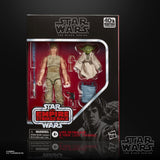 Star Wars The Black Series Luke Skywalker and Yoda (Jedi Training) 6 Inch Action Figures
