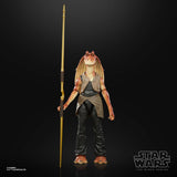 Star Wars: The Black Series Lucasfilm 50th Anniversary Jar Jar Binks 6" Inch Action Figure - Hasbro *SALE*