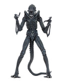 Aliens Ultimate Alien Warrior (1986) Blue Alien 7″ Scale Action Figures - NECA