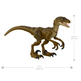 Jurassic Park Hammond Collection Velociraptor Action Figure - Mattel