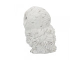 Winters Wisdom 19cm 'Hedwig' Style Snowy Owl Statue - Nemesis Now - U4172M8