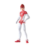 Marvel Legends Series The Amazing Spider-Man and Spinneret (Renew Your Vows) 2-pack 6" Inch Scale Action Figures - Hasbro