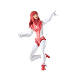 Marvel Legends Series The Amazing Spider-Man and Spinneret (Renew Your Vows) 2-pack 6" Inch Scale Action Figures - Hasbro