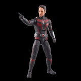 Marvel Legends Series Ant-Man & the Wasp: Quantumania Ant-Man 6" Inch Action Figure - Hasbro